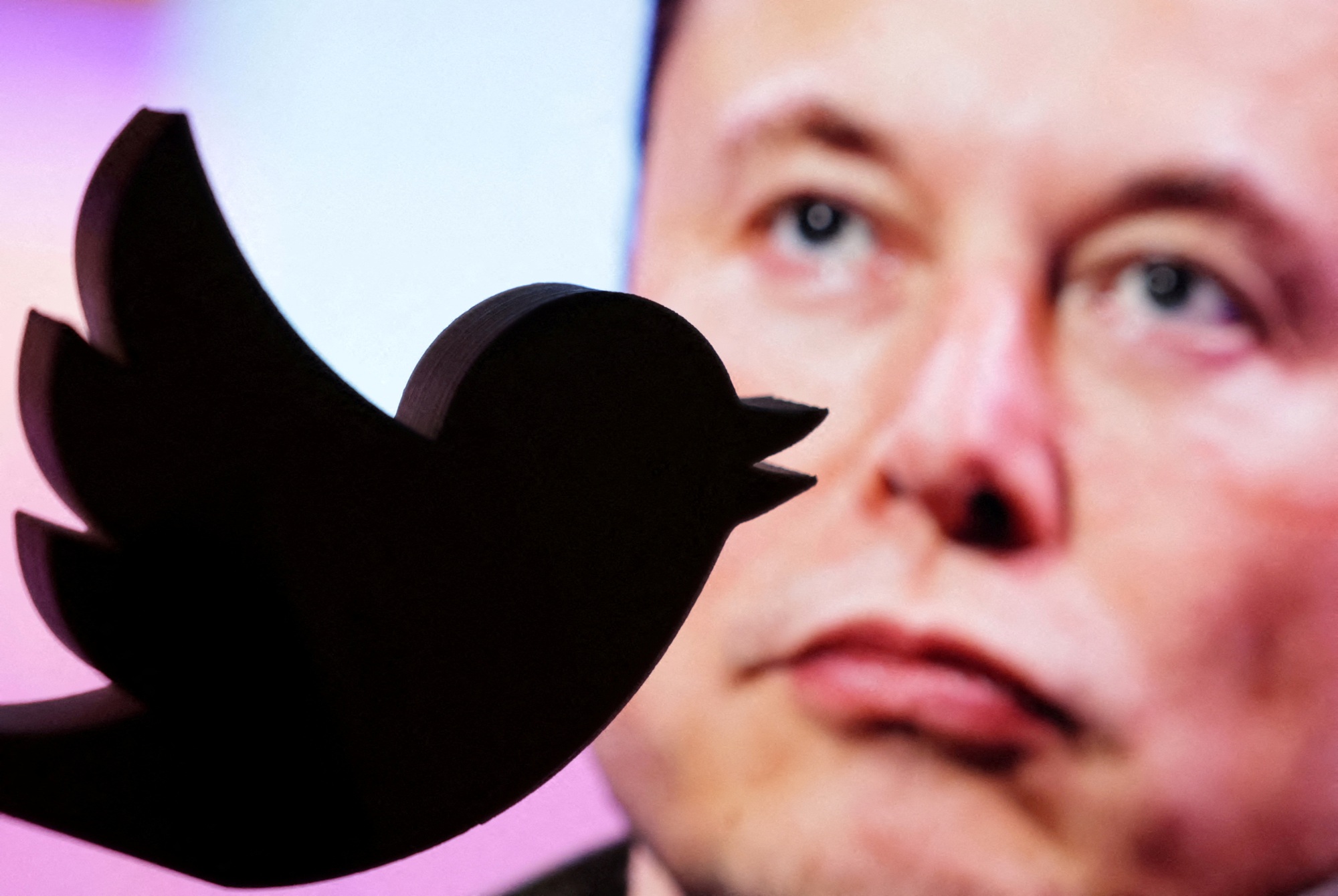 Twitter đình chỉ tài khoản theo dõi chuyên cơ của Elon Musk - Ảnh 1.