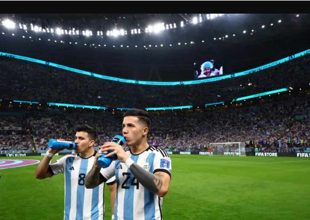 Loại trà mà đội tuyển Argentina mang tới World Cup 2022 tận 500 kg, tiếp sức nghìn máu cho Messi có gì đặc biệt? - Ảnh 2.