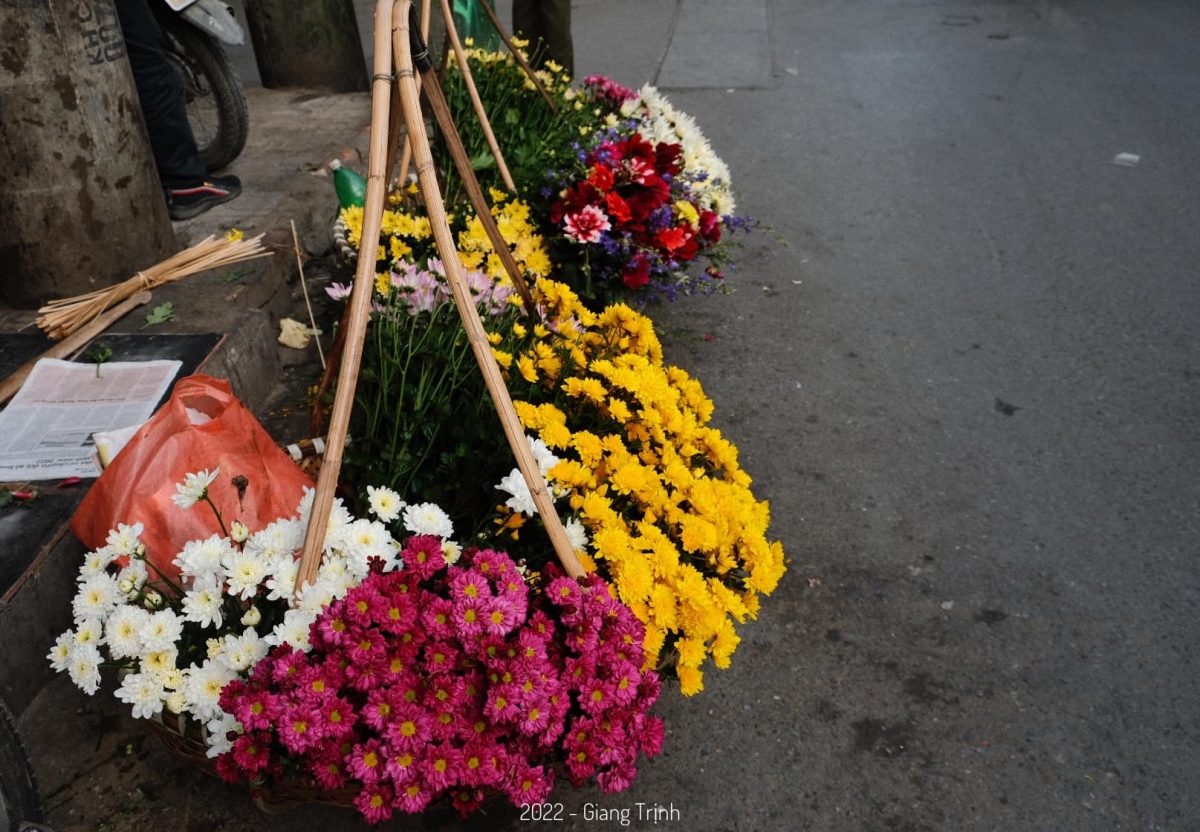 Phố phường Hà Nội rực rỡ sắc màu với những gánh hàng hoa - Ảnh 4.