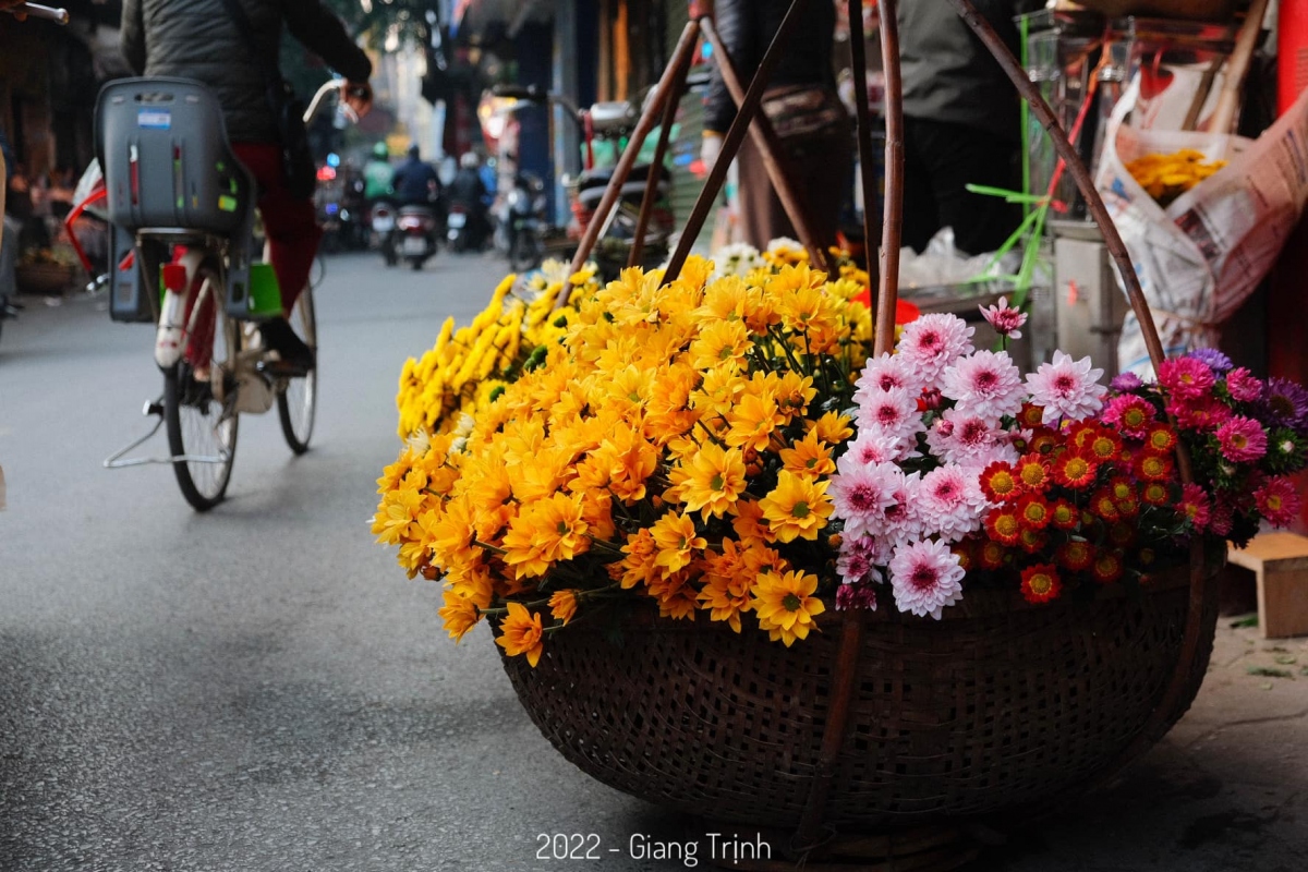 Phố phường Hà Nội rực rỡ sắc màu với những gánh hàng hoa - Ảnh 9.