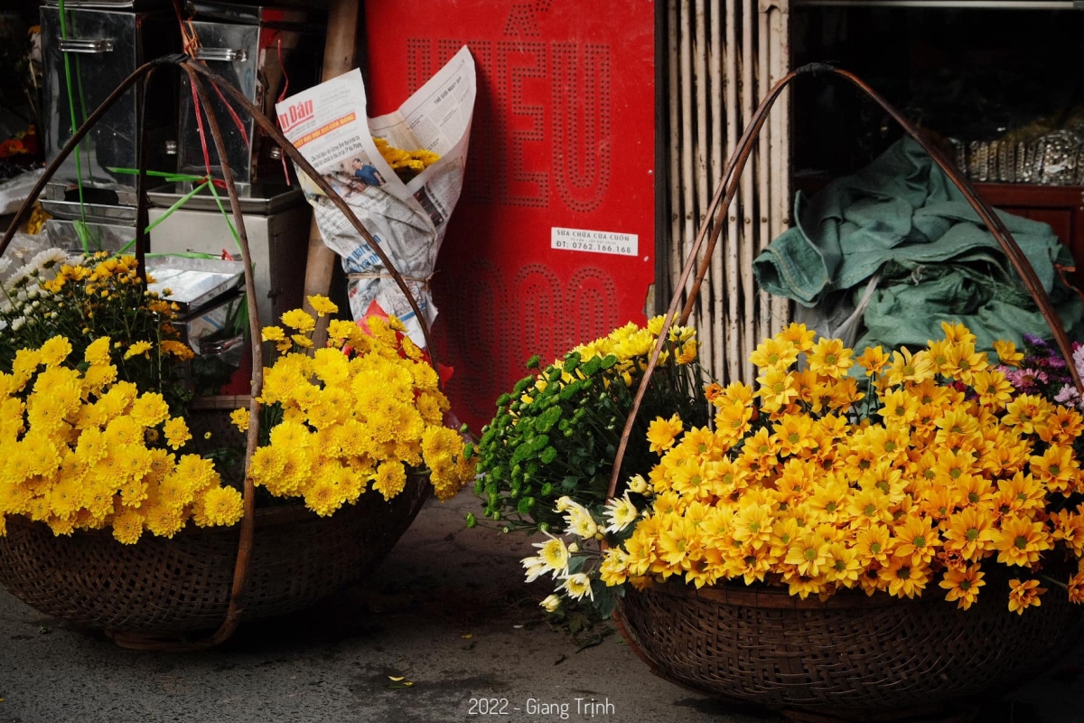 Phố phường Hà Nội rực rỡ sắc màu với những gánh hàng hoa - Ảnh 2.