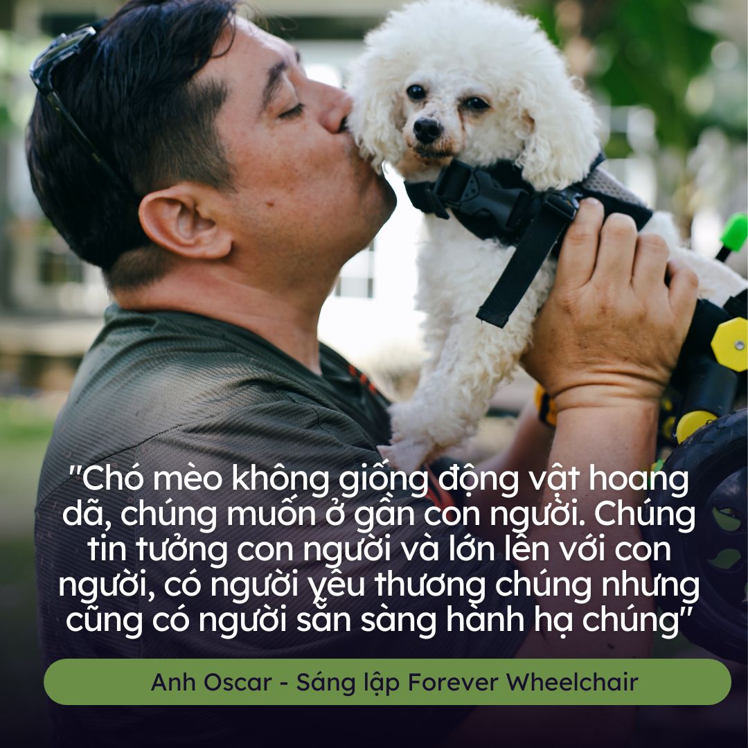 Người đàn ông ngoại quốc chế tạo xe lăn cho hàng trăm chó, mèo khuyết tật ở Việt Nam - Ảnh 14.