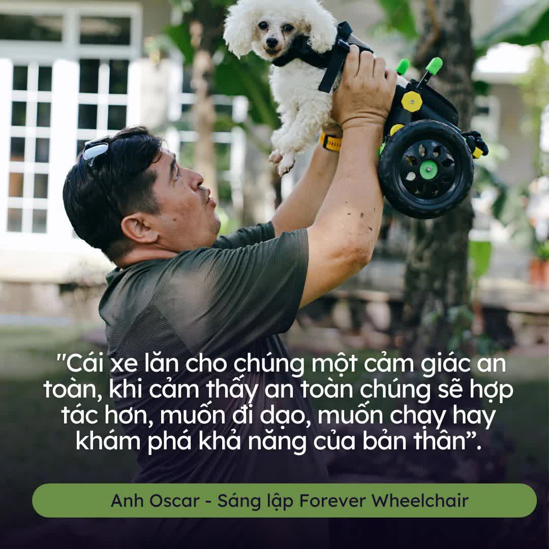 Người đàn ông ngoại quốc chế tạo xe lăn cho hàng trăm chó, mèo khuyết tật ở Việt Nam - Ảnh 30.