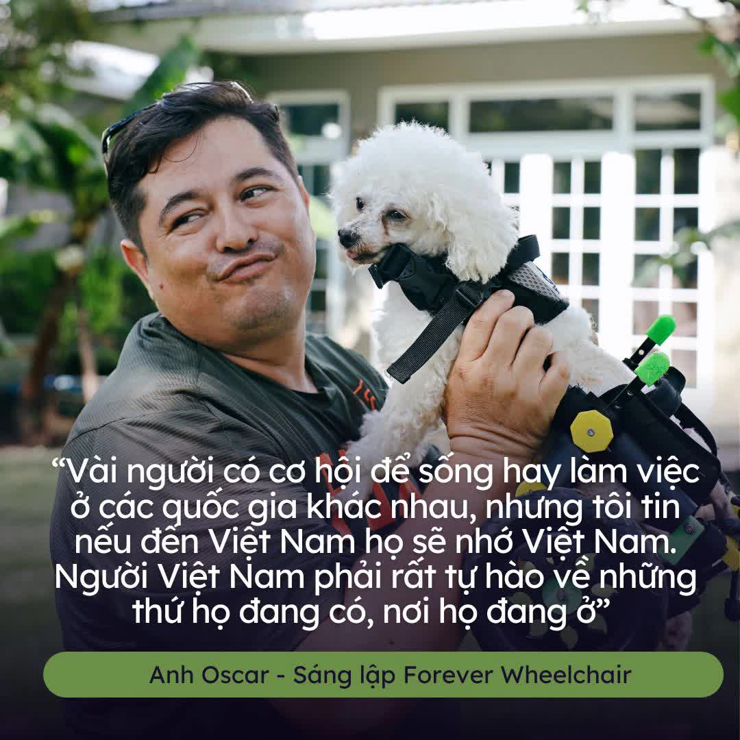 Người đàn ông ngoại quốc chế tạo xe lăn cho hàng trăm chó, mèo khuyết tật ở Việt Nam - Ảnh 2.