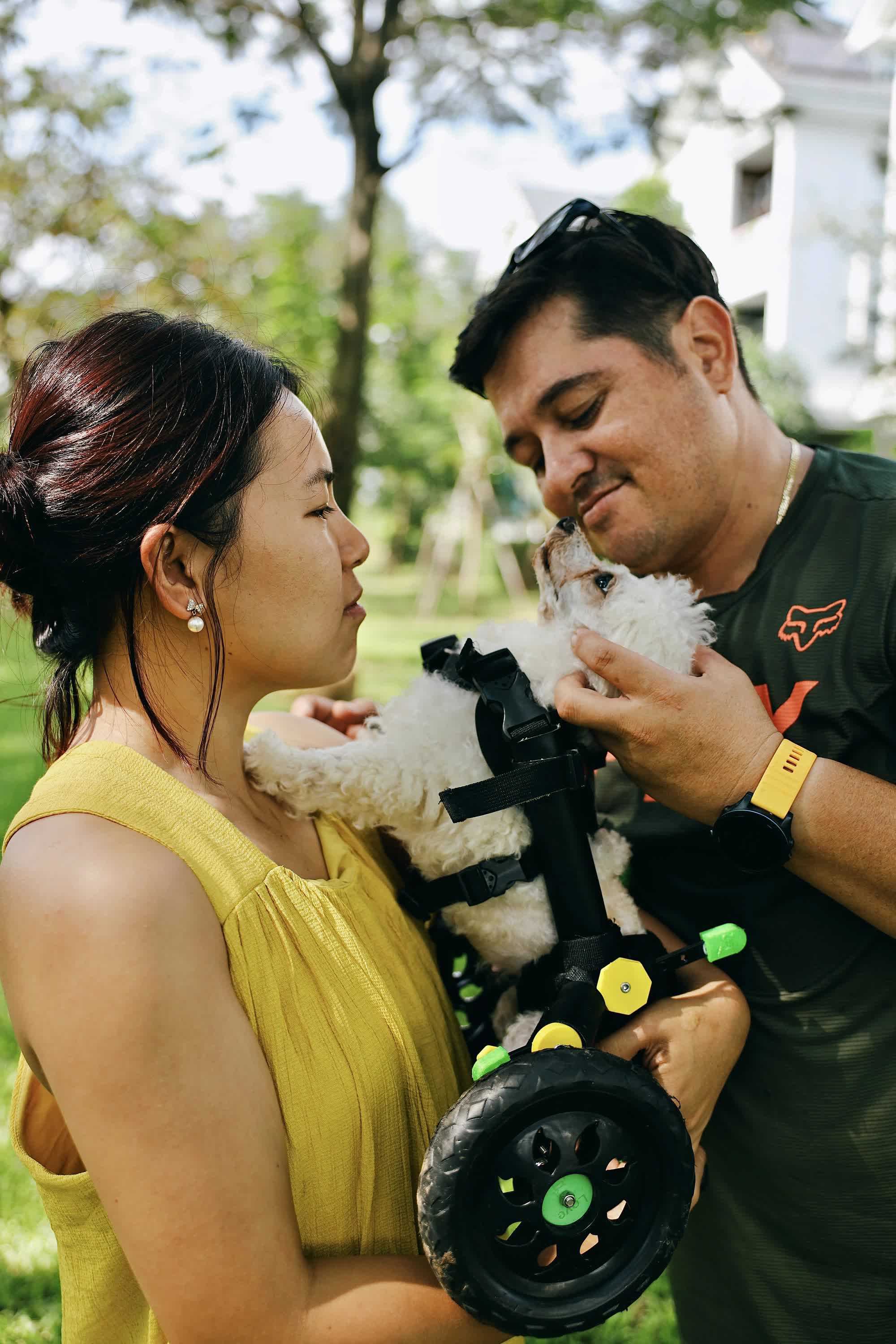 Người đàn ông ngoại quốc chế tạo xe lăn cho hàng trăm chó, mèo khuyết tật ở Việt Nam - Ảnh 8.