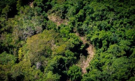 “Con đường dẫn đến sự hỗn loạn” ở Amazon – Nơi nạn đào vàng trái phép tạo ra thảm kịch nhân đạo khủng khiếp - Ảnh 4.