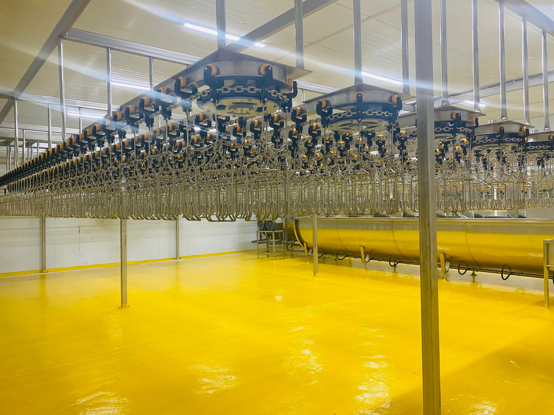 Nhà máy chế biến gà Marathon của bầu Đức đi vào hoạt động, công suất 5.000-7.000 con/ngày - Ảnh 3.