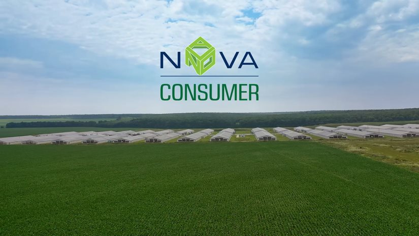 HoSE dừng xem xét hồ sơ niêm yết của Nova Consumer - Ảnh 1.