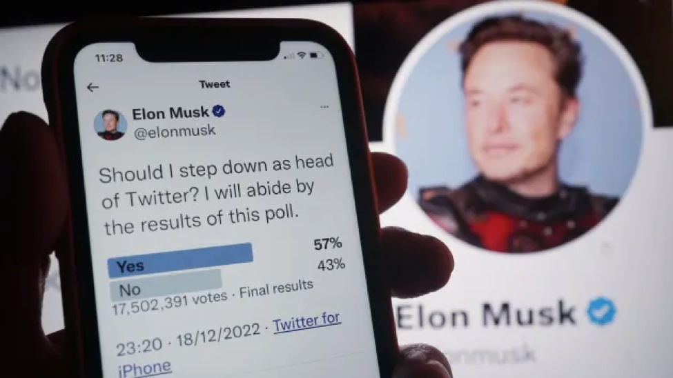 Twitter trở thành miếng gân gà với tỉ phú Elon Musk? - Ảnh 1.