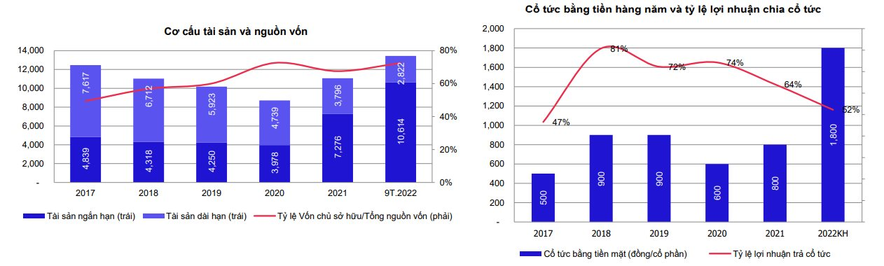 Đạm Cà Mau (DCM) ước đạt doanh thu năm 2022 cao nhất trong lịch sử hoạt động - Ảnh 4.