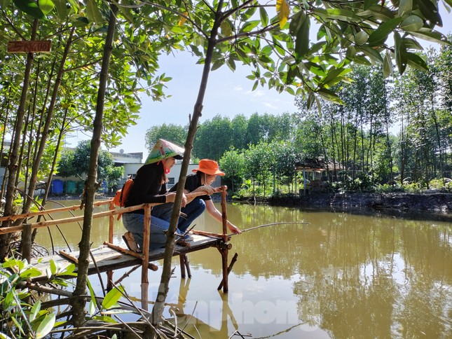 Du khách 'săn' cua Cà Mau bằng chiếc cần câu độc nhất vô nhị - Ảnh 4.