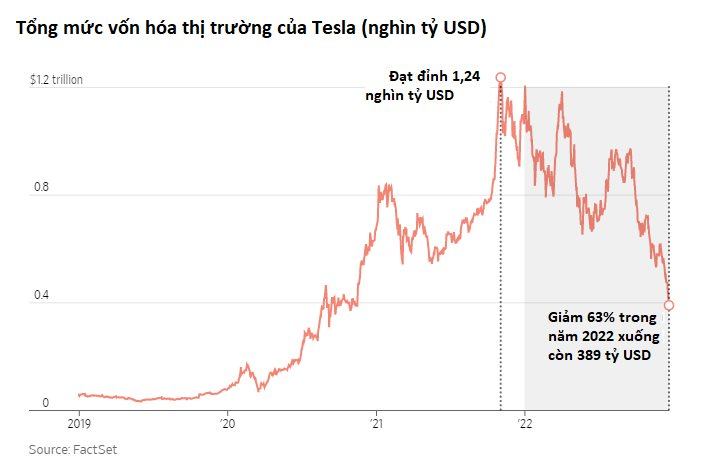 Tesla thấm đòn khi nhu cầu xe điện Mỹ suy giảm, bị thổi phồng nhờ những lời hứa của Elon Musk - Ảnh 2.