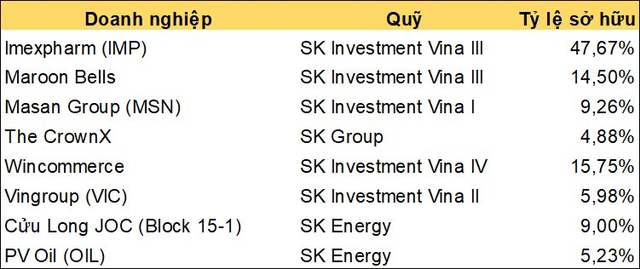 DealStreetAsia: SK Group bác bỏ thông tin thoái một số khoản đầu tư lớn trong danh mục tỷ đô tại Việt Nam, Malaysia - Ảnh 2.