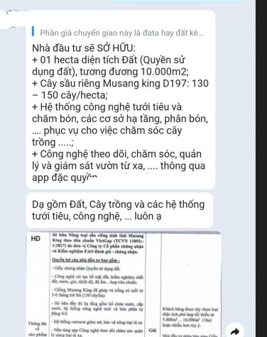 Xuất hiện hình thức đầu tư lạ: Môi giới chào mua bất động sản trồng sầu riêng, người mua không phải làm gì, năm thứ 7 đã hoàn vốn - Ảnh 1.