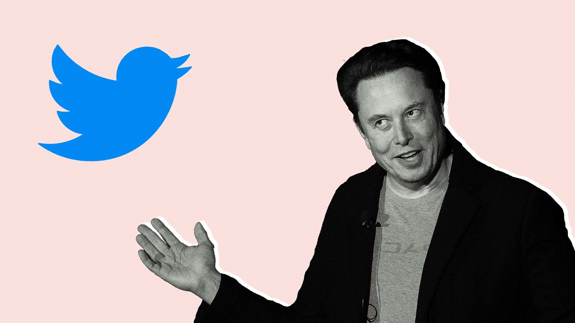 Mối quan hệ ‘yêu nhau lắm cắn nhau đau’ giữa Twitter của Elon Musk với truyền thông - Ảnh 1.