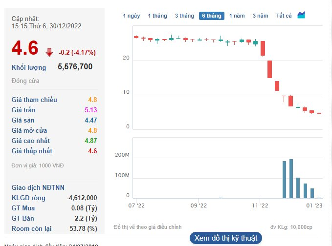 Bị giải chấp gần 25% công ty trong tháng 12, gia đình ông chủ Hải Phát Invest còn sở hữu bao nhiêu? - Ảnh 2.