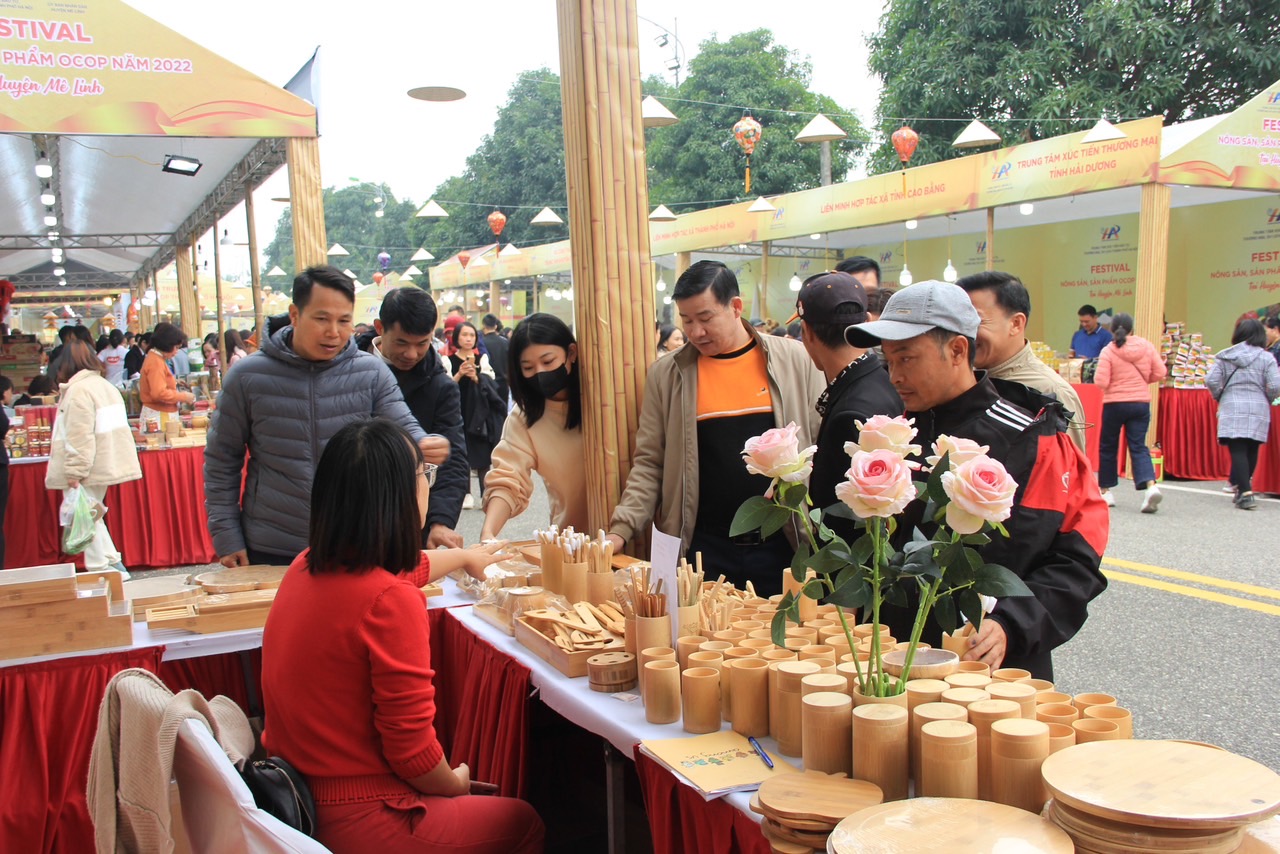 Khai mạc Lễ hội hoa và Festival nông sản, sản phẩm OCOP tại huyện Mê Linh - Ảnh 7.