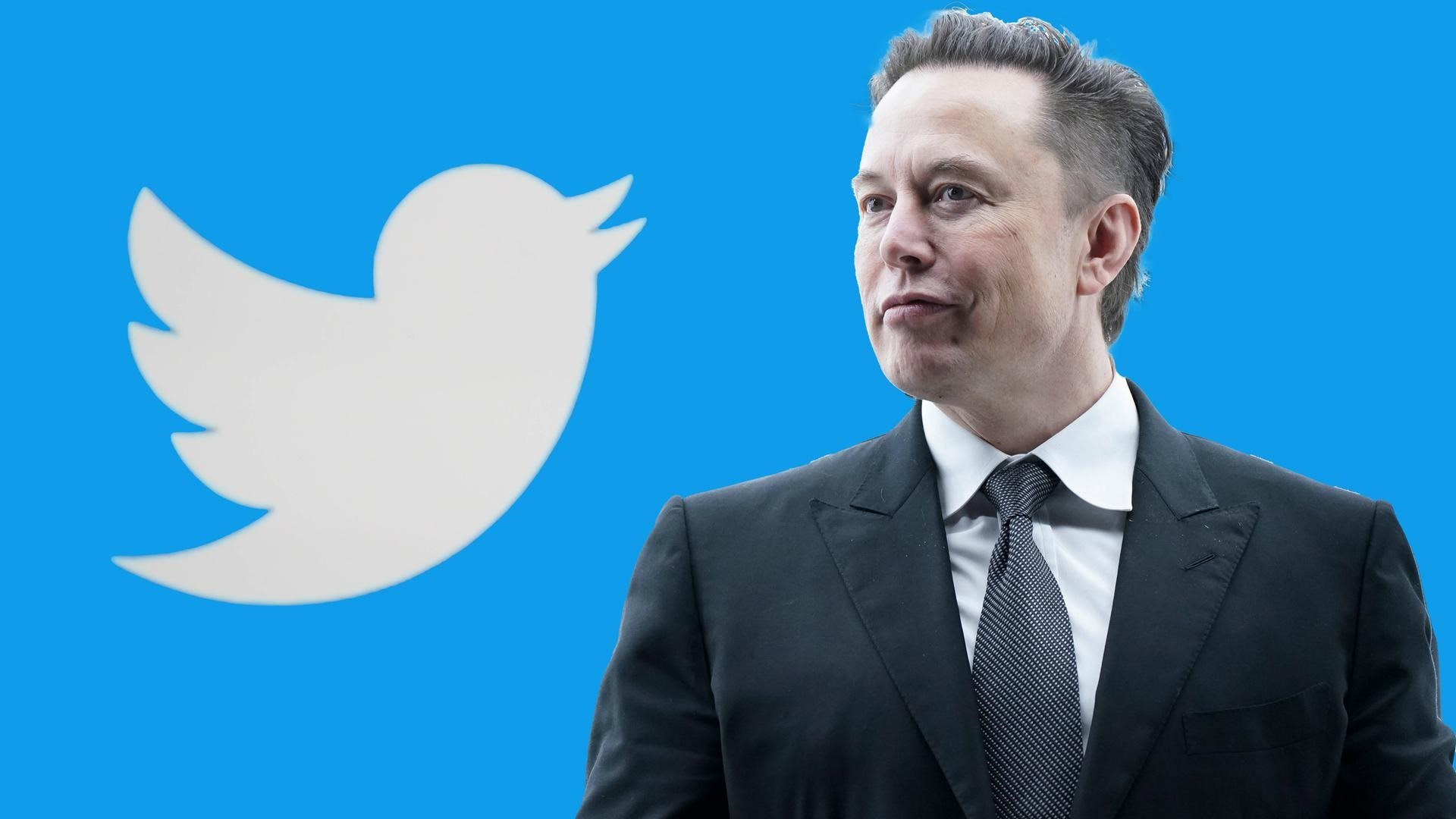 Elon Musk làm việc 120 tiếng/tuần vẫn chưa bằng triệu phú này: Chưa biết dốc toàn lực, đừng mơ đến thành công - Ảnh 1. Elon Musk làm việc 120 tiếng/tuần vẫn chưa bằng triệu phú này: Chưa biết dốc toàn lực, đừng mơ đến thành công - Ảnh 1.