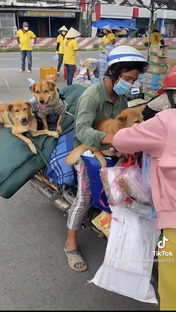 Bị tố tiêu cạn 120 triệu, xin thêm tiền mạnh thường quân, chủ đàn chó ở Cà Mau kêu oan - Ảnh 2.