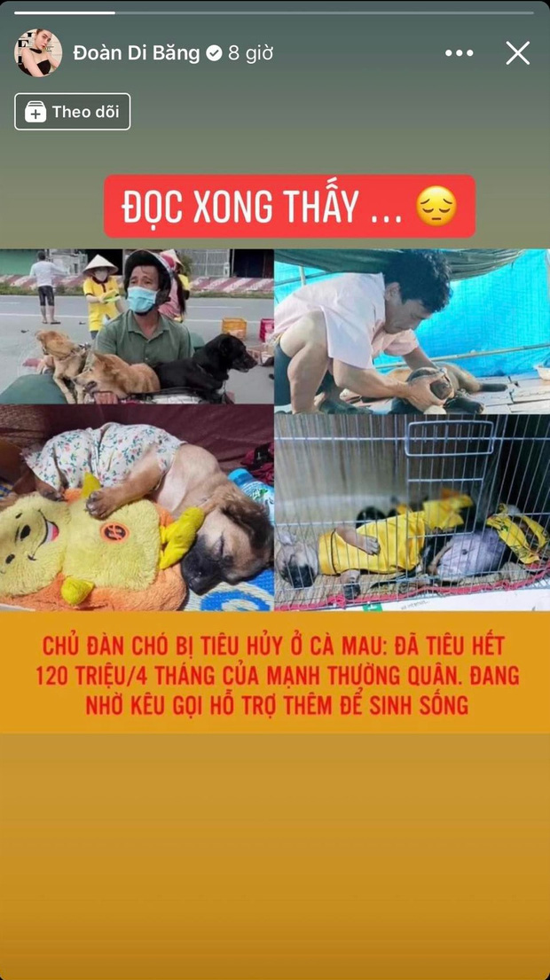 Nữ đại gia quận 7 phản ứng trước thông tin chủ đàn chó ở Cà Mau bị tố tiêu cạn 120 triệu trong 4 tháng: Mất niềm tin quá, buồn vì giúp sai người - Ảnh 2.