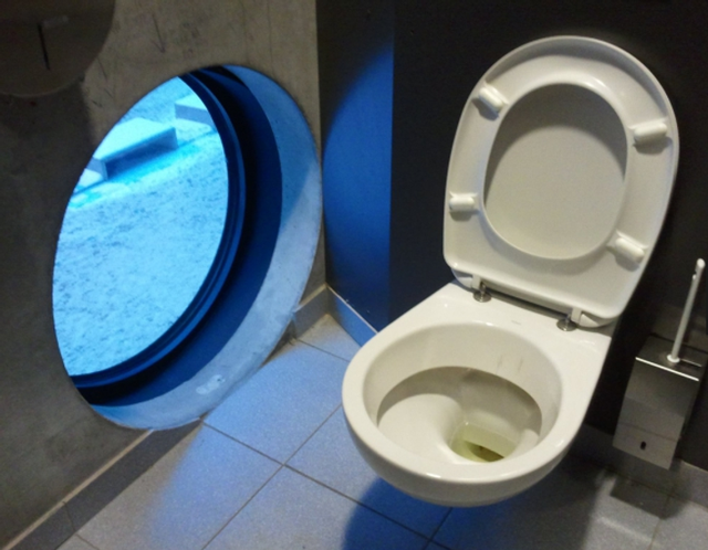  Những thiết kế nhà vệ sinh nhìn thôi đã muốn trầm cảm  - Ảnh 28.