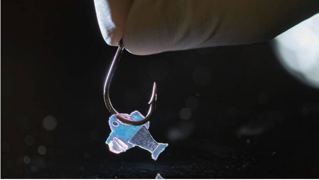 Con cá cyborg này được làm ra từ tế bào tim người, và nó sẽ cứu sống hàng triệu sinh mạng - Ảnh 5.