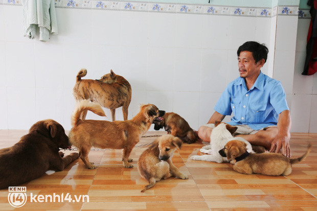  Chủ đàn chó ở Cà Mau phân trần vụ tiêu sạch hơn 120 triệu trong vòng 4 tháng, khẳng định không kêu gọi tiền từ thiện - Ảnh 2.
