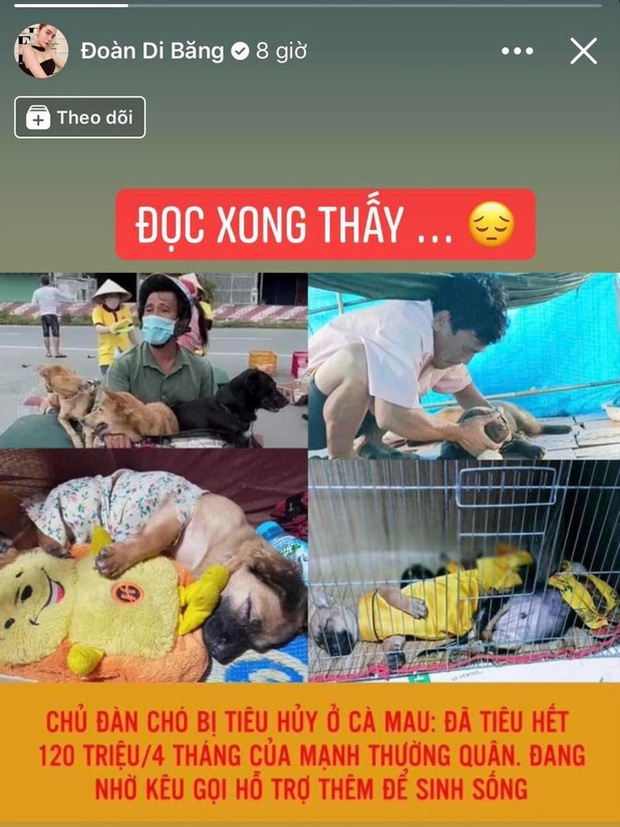 Chủ nhân đàn chó ở Cà Mau gửi lời đến nữ đại gia quận 7: Nếu chị nằm trong hoàn cảnh tui chị mới biết, tui không làm gì để chị thất vọng đâu... - Ảnh 1. Chủ nhân đàn chó ở Cà Mau gửi lời đến nữ đại gia quận 7: Nếu chị nằm trong hoàn cảnh tui chị mới biết, tui không làm gì để chị thất vọng đâu... - Ảnh 1.
