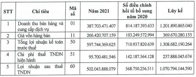  Hạch toán doanh thu một lần, Idico (IDC) có thêm 570 tỷ đồng LNST chưa phân phối trong quý 4/2021  - Ảnh 3.