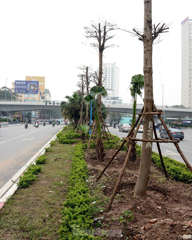 Hình ảnh thi công mở rộng đường Hoàng Quốc Việt sau khi xén dải phân cách và hạ cây xanh - Ảnh 13.