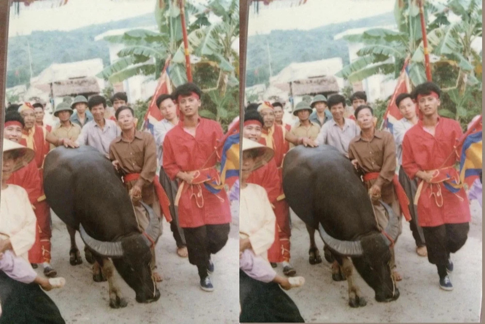 Kêu gọi 12.800 chữ ký bỏ Lễ hội chọi trâu Đồ Sơn: Đừng hùa theo văn hóa ngoại lai? - Ảnh 3. Kêu gọi 12.800 chữ ký bỏ Lễ hội chọi trâu Đồ Sơn: Đừng hùa theo văn hóa ngoại lai? - Ảnh 3.