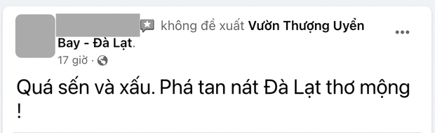 Khu check in Vườn Thượng Uyển Bay bị dân mạng đánh giá 1 sao thẳng tay, bị đề nghị dỡ bỏ trả lại cảnh quan cho Đà Lạt! - Ảnh 7.