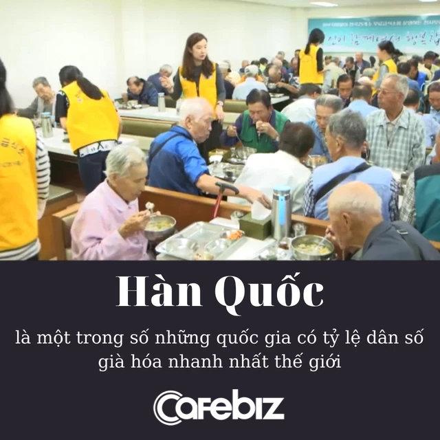 Nỗi buồn của Hàn Quốc: Kỷ lục về lượng gái bán hoa bà lão, U80 vẫn phải hành nghề để kiếm sống qua ngày, mua thuốc chữa viêm khớp - Ảnh 2.