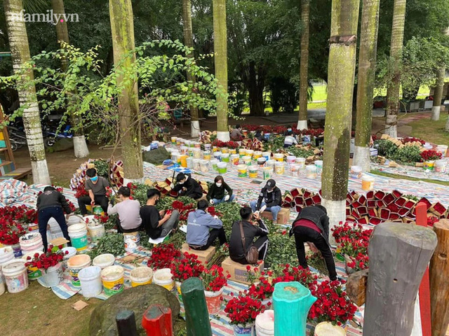  Xuất hiện đám cưới tiền tỷ của đại gia Ninh Bình: 100 ngàn bông hoa nhập khẩu từ Anh, thân thế cô dâu không phải dạng vừa đâu  - Ảnh 4.