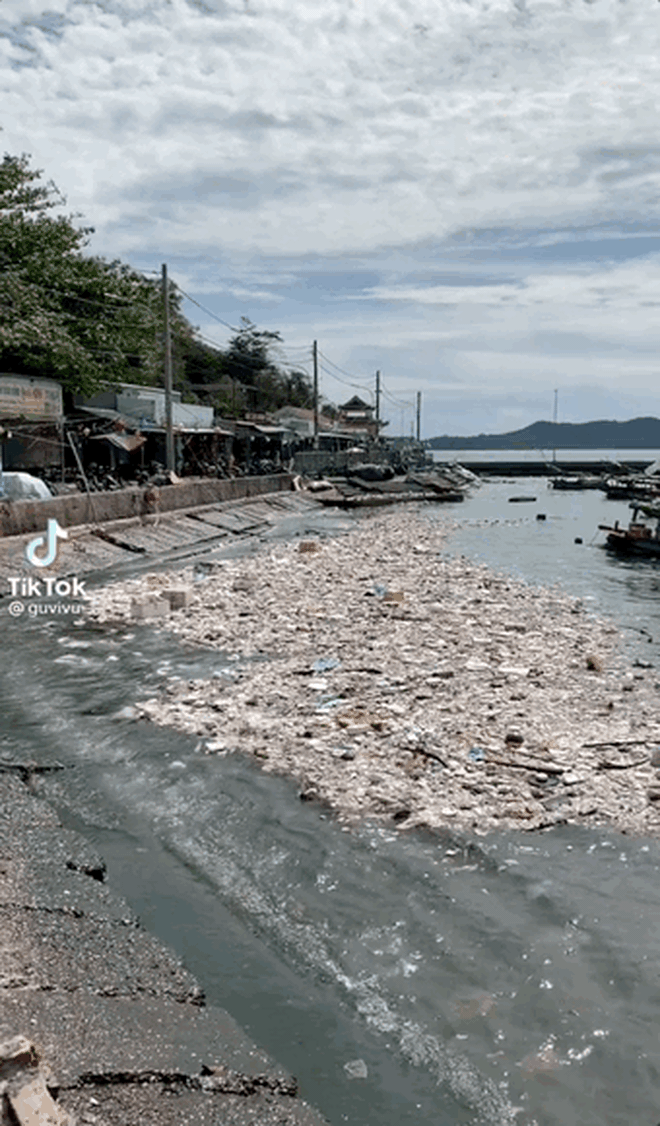 Clip: Từng là hòn đảo du lịch HOT chẳng kém gì Phú Quốc, không ngờ nay ô nhiễm sóng vỗ là thấy rác lềnh phềnh! - Ảnh 4.