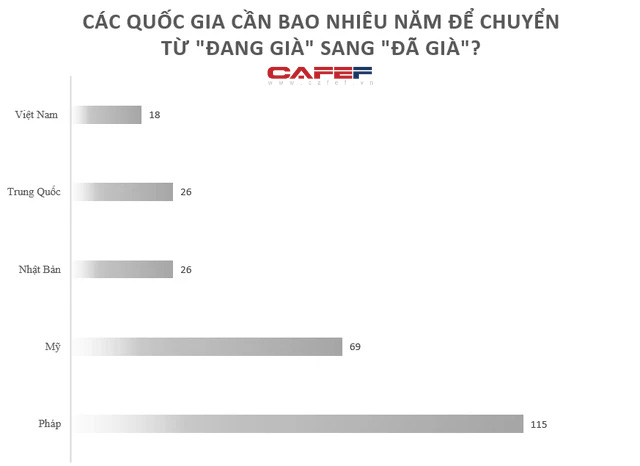  Dự báo 16,4 triệu người Việt Nam sẽ không có lương hưu vào năm 2030: Khuyến nghị thiết lập khoản hưu trí lấy từ nguồn thuế  - Ảnh 1.