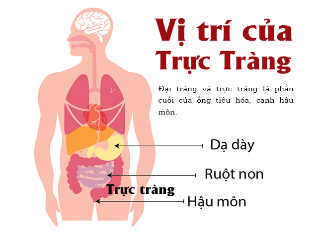 Căn bệnh khiến 8.000 người Việt tử vong mỗi năm, có 3/8 dấu hiệu phải đi khám ngay kẻo cứu không kịp - Ảnh 1.