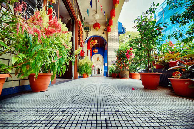 Áp lực ăn Tết ở đất nước giàu nhất Đông Nam Á: Dồn dập vì những câu hỏi chị em ai cũng thấy quen - Ảnh 2. Áp lực ăn Tết ở đất nước giàu nhất Đông Nam Á: Dồn dập vì những câu hỏi chị em ai cũng thấy quen - Ảnh 2.