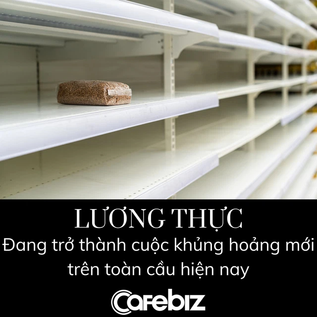 Thế giới có thêm 44 triệu người suy dinh dưỡng, khủng hoảng lương thực đang lan rộng vì giá khí đốt tăng vọt - Ảnh 2.