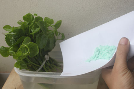Just spray for 5 hours, spinach grows 30cm straight away : Housewives immediately know 5 characteristics so that they don't swallow poison - Photo 2.