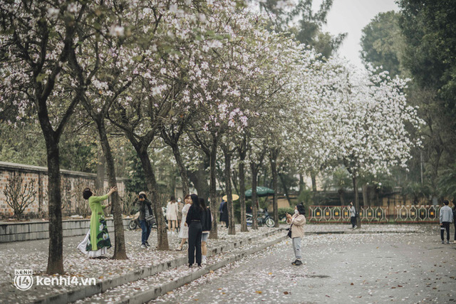 Even the rainy day in Hanoi can't stop the spirit of the people playing: People compete to dress up to take pictures of the new purple flower season - Photo 14.