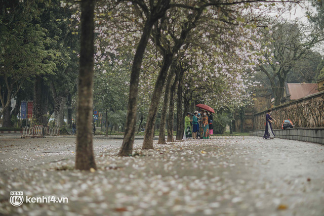 Even the rainy day in Hanoi could not stop the spirit of the people playing: People competed to dress up to take pictures of the new purple flower season - Photo 17.