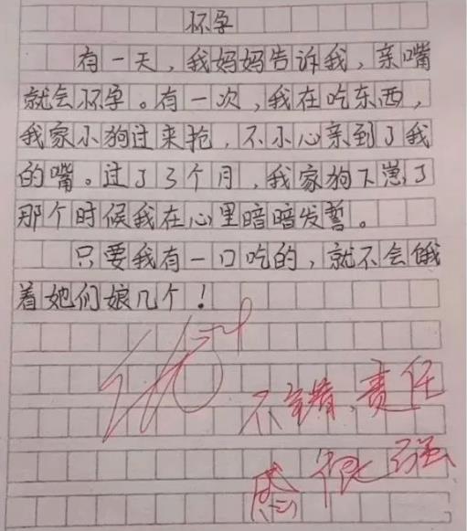 Parents are excited because of their son's pregnancy essay, the teacher praises: So wonderful! - Photo 3. Parents are excited because of their son's pregnancy essay, the teacher praises: So wonderful! - Photo 3.