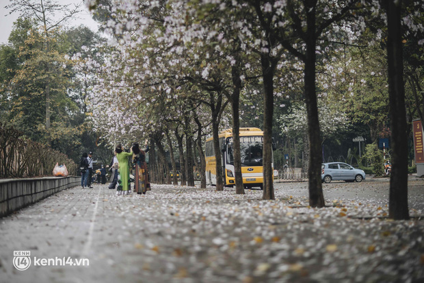 Even the rainy day in Hanoi could not stop the spirit of the people playing: People competed to dress up to take pictures of the new purple flower season - Photo 7.