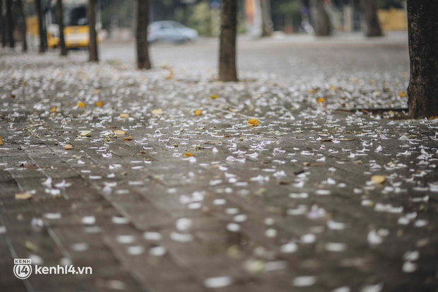 Even the rainy day in Hanoi could not stop the spirit of the people playing: People competed to dress up to take pictures of the new purple flower season - Photo 8.