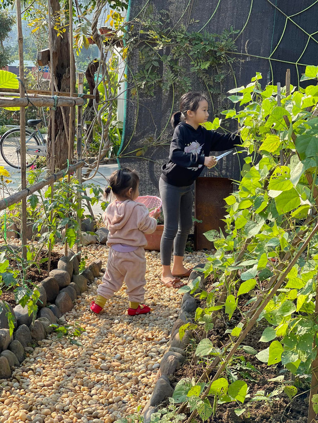  Nhà vườn trong phố của gia đình cô giáo ở Hà Giang: Dồn tâm huyết cho mảnh vườn, cùng chồng và các con sống gần gũi với thiên nhiên  - Ảnh 16.