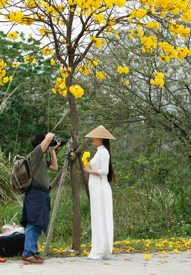 Người dân Hà Nội nô nức đi chụp ảnh con đường hoa Chuông vàng - Ảnh 5.