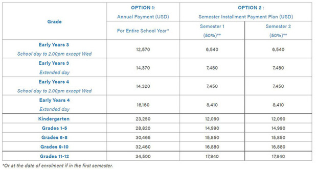   Stunned by the expensive tuition fees of international schools this year: Up to nearly 800 million VND/year!  - Photo 7.