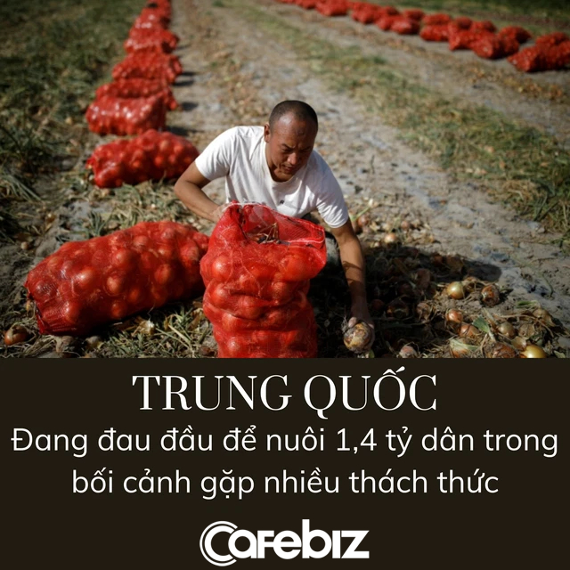 Nạn đói đe dọa 1,4 tỷ người Trung Quốc vì khủng hoảng thiếu... phân bón - Ảnh 2.