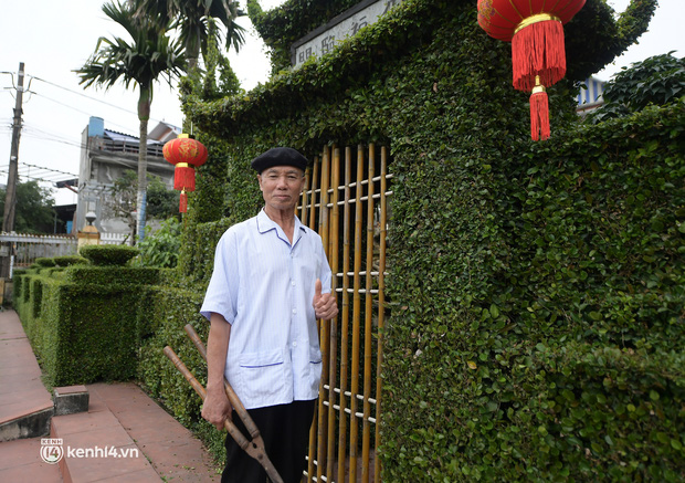 Ảnh: Ngắm hàng rào cây xanh 30 năm tuổi độc nhất vô nhị ở Hà Nội - Ảnh 2.